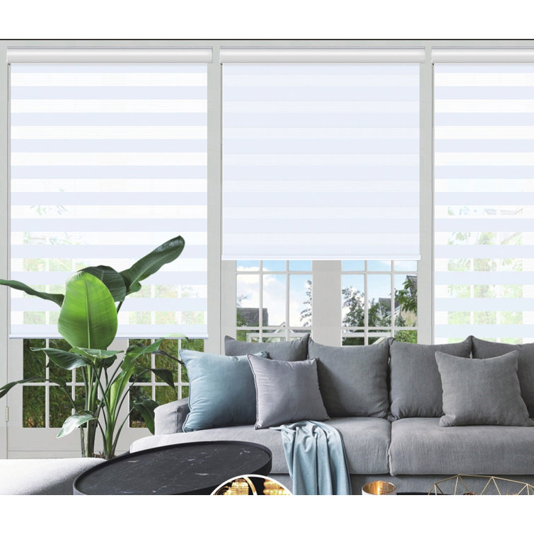 Symple Stuff Day and Night SemiSheer Roller Shade & Reviews Wayfair